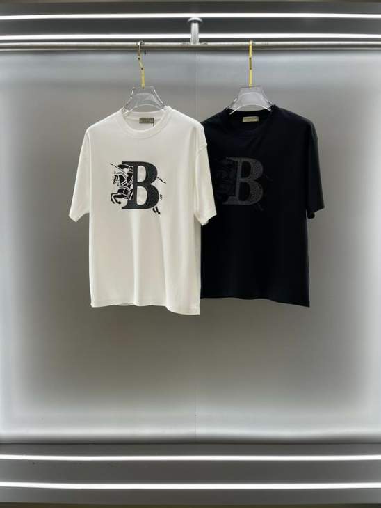 Picture of Burberry T Shirts Short _SKUBurberryS-2XLxetr15819762